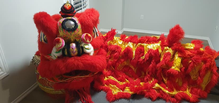lion picture